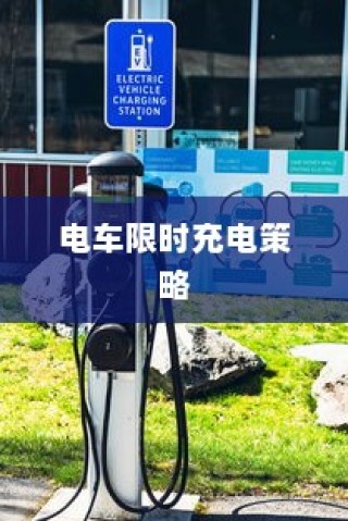九号大电池电车使用指南，电池性能深度解析与适用性探讨