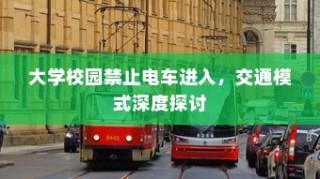 大学校园禁电车政策与交通模式深度探讨