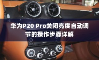 华为P20 Pro关闭亮度自动调节的操作步骤详解