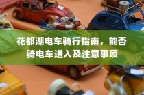 电车电瓶加酸详解，从入门到精通的全方位指南