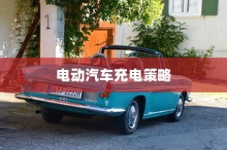 电动汽车充电策略与电池健康维护，电量降至30%时是否充电的探讨