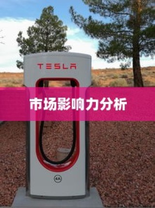 特斯拉充电车价位分析与市场影响力探讨