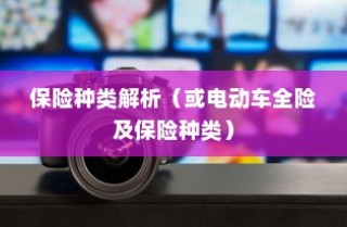 电动车保险全攻略，解析保险种类与全险购买可行性