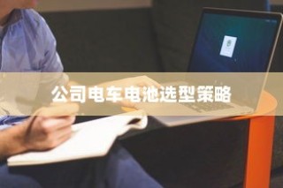 公司电车电池选型策略指南