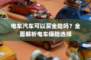电车保险全解析，能否购买全险及保险选择指南