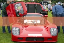 二十万左右纯电车推荐及购车指南解析