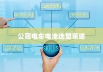 电车两轮上牌照优选探讨与指南大全