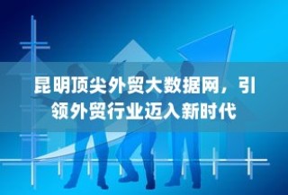 昆明顶尖外贸大数据网，引领外贸行业迈入新时代革新之路