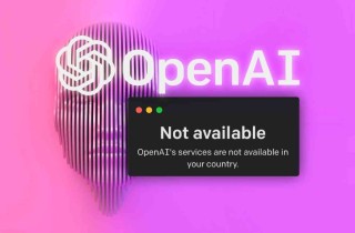 OpenAI怎么绑定WildCard虚拟信用卡