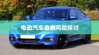 电动汽车停车状态下的安全性解析，自燃风险探讨与防范措施