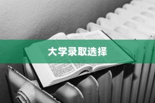 解读大学录取选择背后的考量与影响，入学决策的影响分析