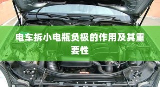 现代电车品牌选择展望，哪些品牌值得考虑？