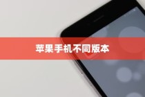 买苹果手机选什么版，全面解析不同版本的差异与选择策略