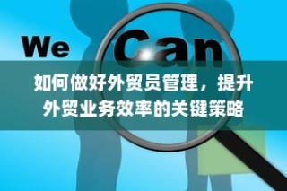 提升外贸业务效率的关键策略，外贸员管理的最佳实践
