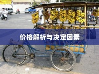 新能源电车电池质保深度解析与探讨，探究电池质保的细节与未来趋势