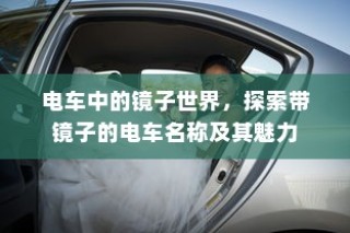南宁电动车上牌全攻略，所需材料与流程详解