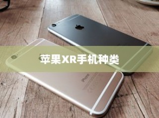 苹果XR手机有几种？全面解析苹果XR系列手机种类和特点