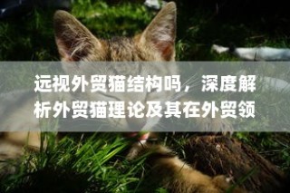 深度解析外贸猫理论，应用与启示于外贸领域的远视结构探讨