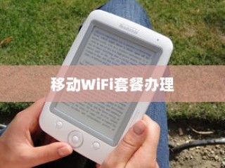移动WiFi套餐办理全攻略，价格与选择详解