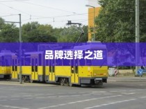 电车时代品牌选择攻略，明智决策你的出行之选
