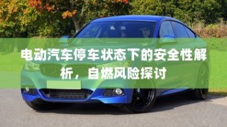 电动汽车停车状态下的安全性解析，自燃风险探讨与防范措施