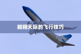 完美世界手游飞行系统攻略，翱翔天际的飞行技巧全解析
