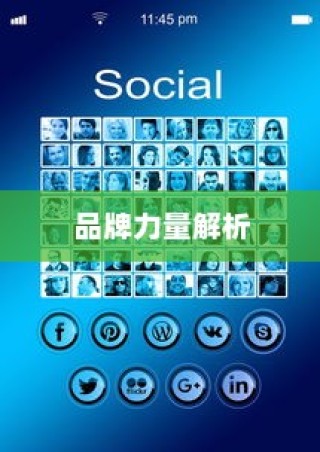 一加手机背后的品牌力量解析