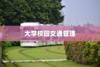 大学校园禁止电车进入，交通政策解析与探讨