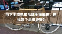 当下主流电车品牌深度解析，哪个品牌更值得选择？