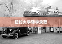 纽约大学转学录取托福之路，探索机遇，成就成长之路