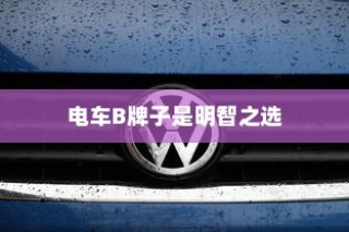 主流电动车品牌B深度解析，为何选择电车B牌子是明智的决策？
