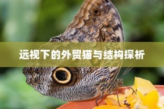 揭秘大学特殊规定，电车禁入背后的真相