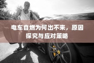 南宁电车牌照申请全攻略，流程、所需材料详解
