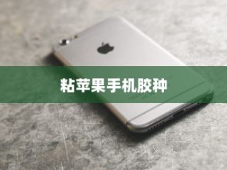 粘苹果手机用什么胶