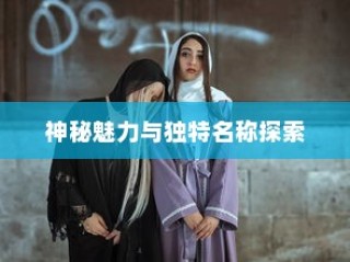电车探秘，镜之魅力和独特命名之旅
