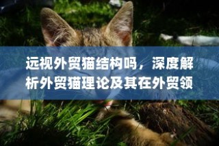 深度解析外贸猫理论，应用与启示于外贸领域的远视结构探讨