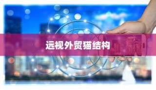 远视外贸猫结构，深度探索、战略洞察与分析