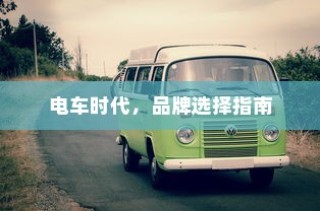 电车保险全解析，是否可购买全险？