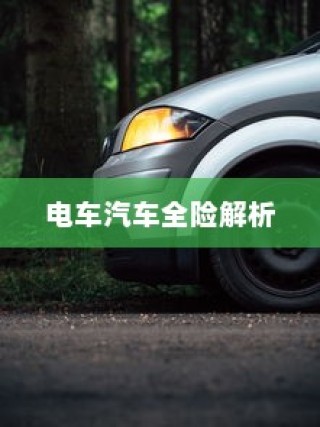二十万左右纯电车选购指南，全方位解析您的选择选项