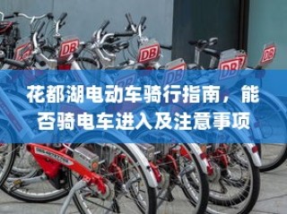 花都湖电动车骑行指南，入园规定与骑行注意事项