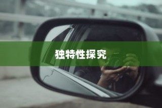 电车名称中的镜子元素，独特之处探究