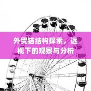 外贸猫结构探索，深度观察与分析