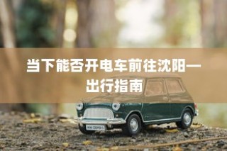纯电车电机运转深度解析，行驶过程中的动力机制揭秘