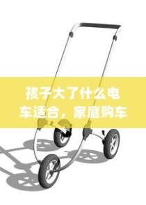 家庭购车指南，如何为孩子选择适合的电动车型