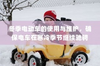 冬季电动车使用与维护指南，保障寒冷季节电车驰骋无阻