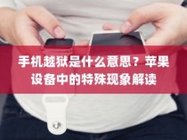 手机越狱是什么意思？苹果设备中的特殊现象解读