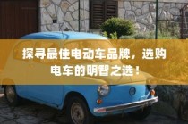探寻最佳电动车品牌，智慧选购指南！