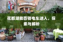 花都湖电车进入规定，探索与解析