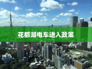 花都湖电车进入政策深度解析与探讨