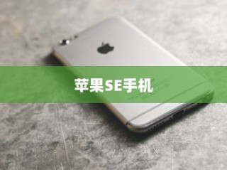 苹果SE手机抽签活动探究